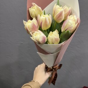 Кремовые тюльпаны фото