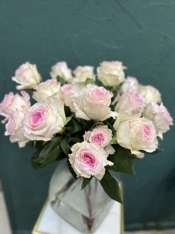 Букет из 25 роз (Эквадор) фото