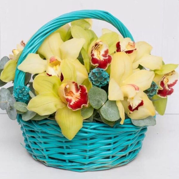 Корзина желтых орхидей фото