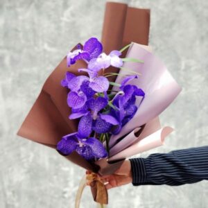 Фиолетовые орхидеи фото
