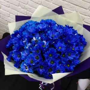 Букет синих хризантем фото