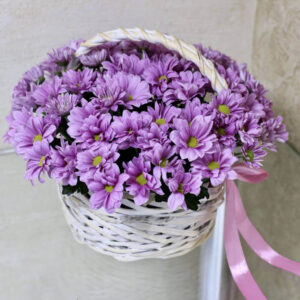 Корзина светло-фиолетовых хризантем фото