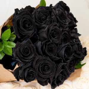 Букет черных роз фото